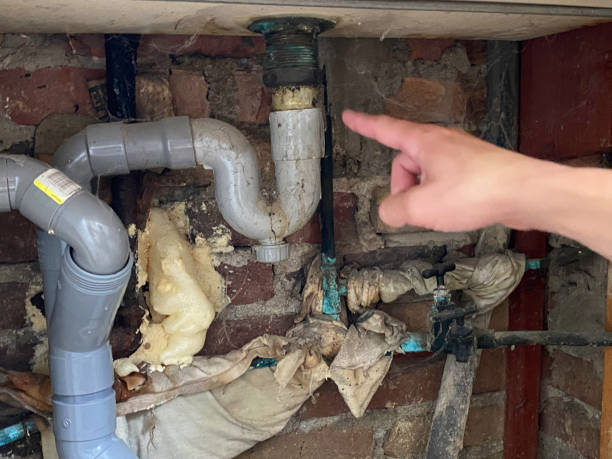 Best Water damage cleanup near me  in Brookneal, VA